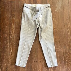 Men’s Express Grey Cropped Pant 31x30